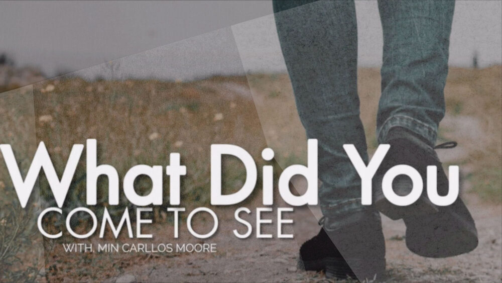 What Did You Come To See Image